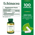 Suplemento Echinacea para Saúde do Sistema Imunológico